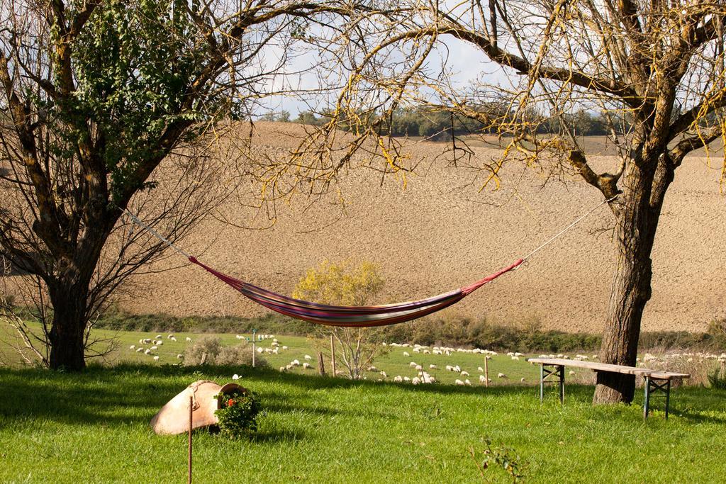 Wine Resort Colsereno Montalcino Exterior photo