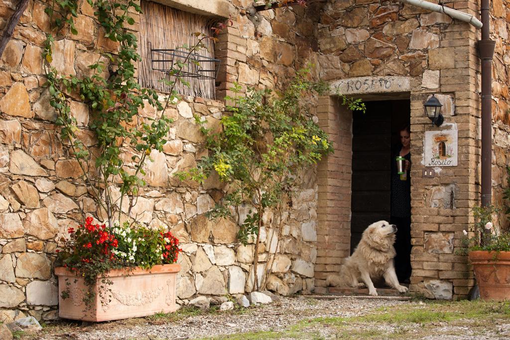 Wine Resort Colsereno Montalcino Exterior photo